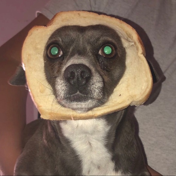 Meet your Posher, Georgina - Picture 1 of 1